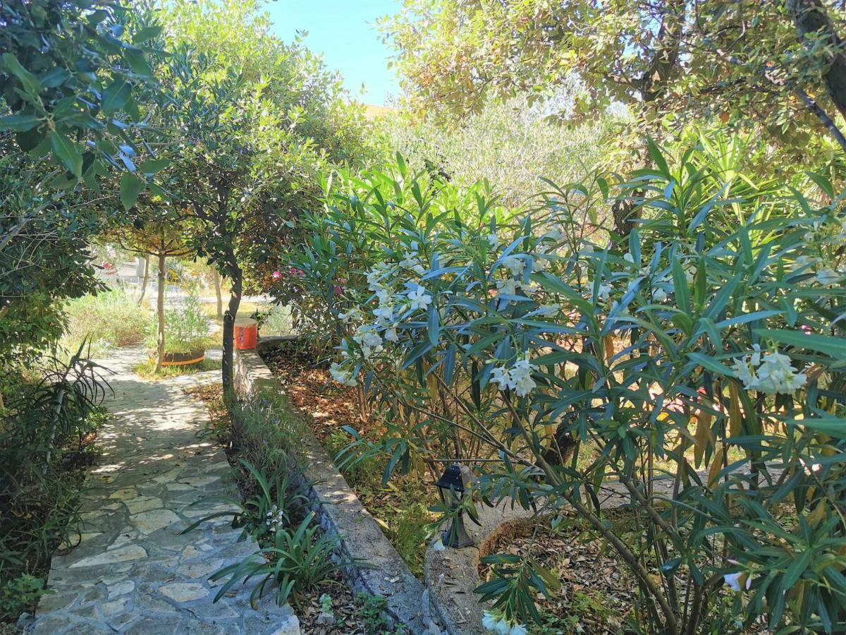 Lenka Apartments II Novalja Εξωτερικό φωτογραφία